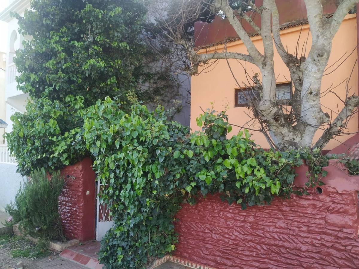 Dar El Pirata Hostel 아실라 외부 사진